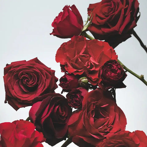 Red Roses Scented Candle