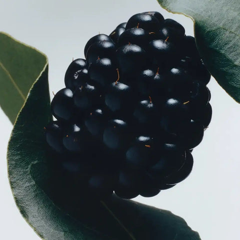 Blackberry & Bay Body & Hand Wash