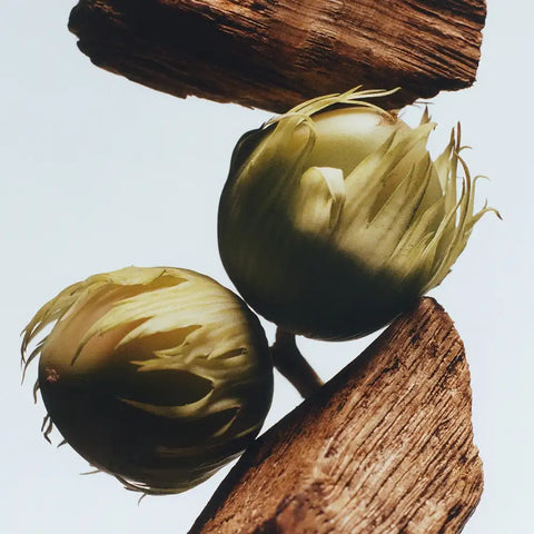 English Oak & Hazelnut Cologne
