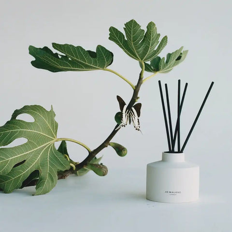 Fresh Fig & Cassis Diffuser Oil Refill