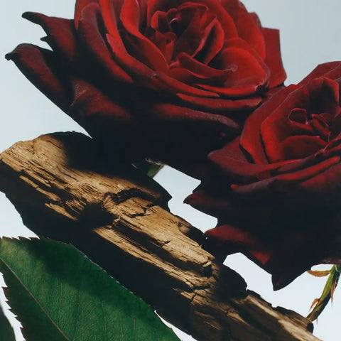 Velvet Rose & Oud Body Crème